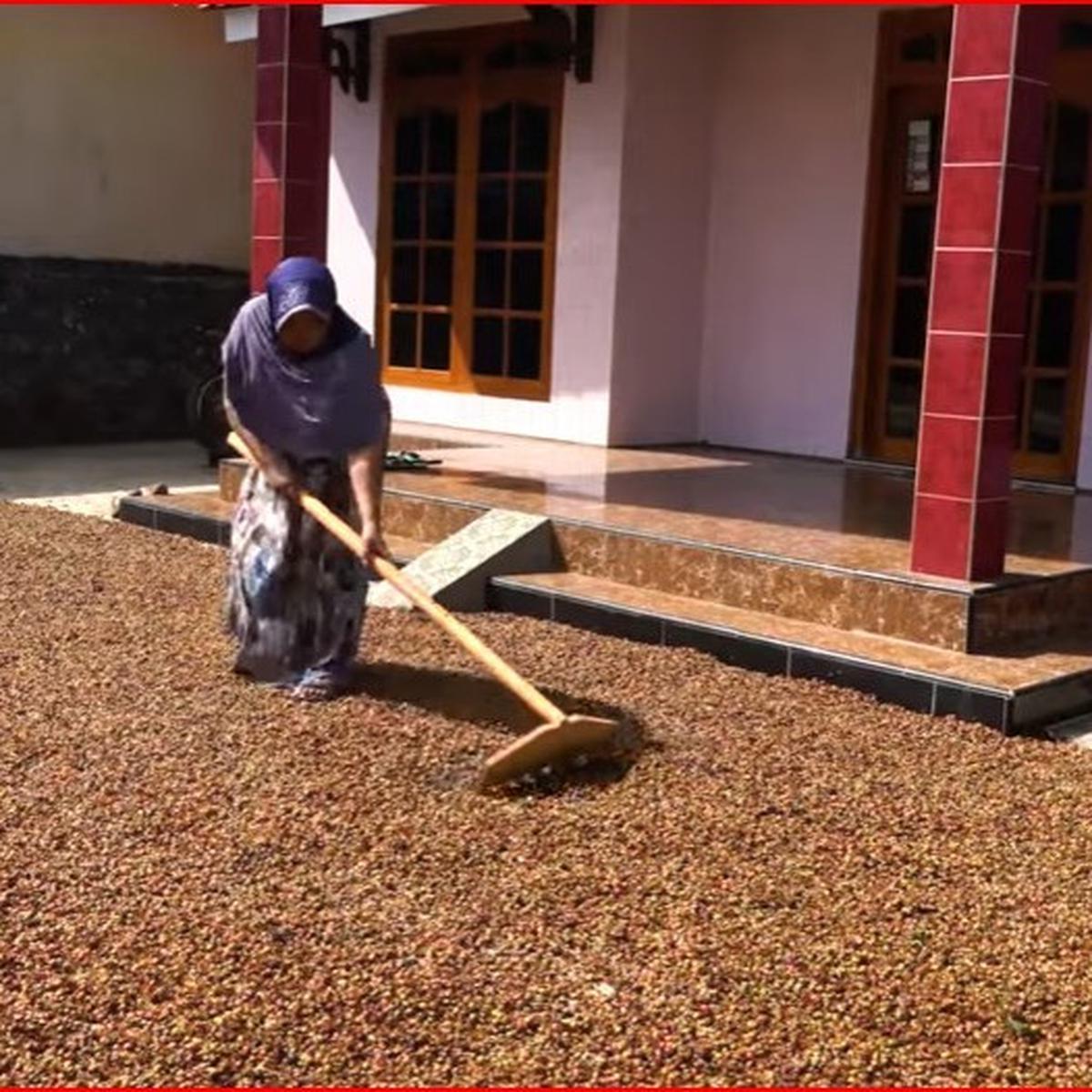 Kopi Banjarsari Magelang