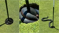 Ular hitam berbisa ditemukan melingkar di lubang golf, bikin histeris pemain. (Sumber: Instagram/thecoastgolfclub)