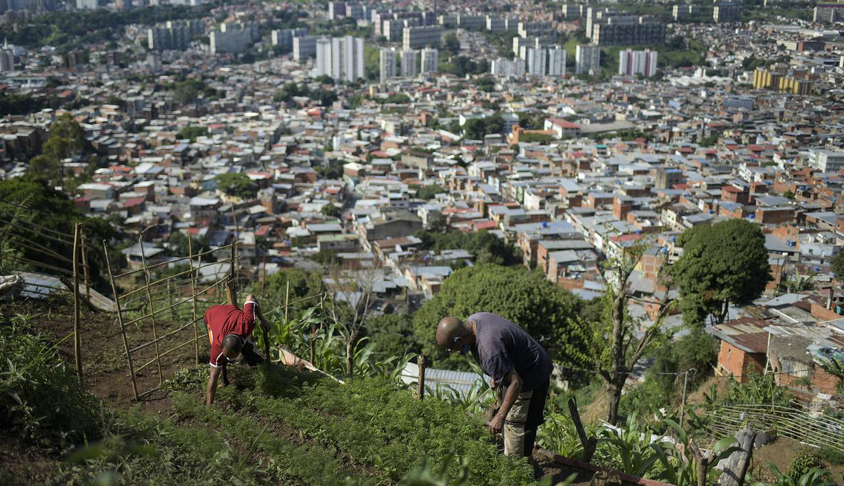 Foto Krisis Ekonomi Warga Venezuela Manfaatkan Lahan Kosong Untuk Menanam Global Liputan6 Com