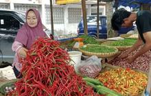 Fakta Mengejutkan: Inflasi Riau Tertinggi di Indonesia Capai 1,11 Persen pada September 2025!