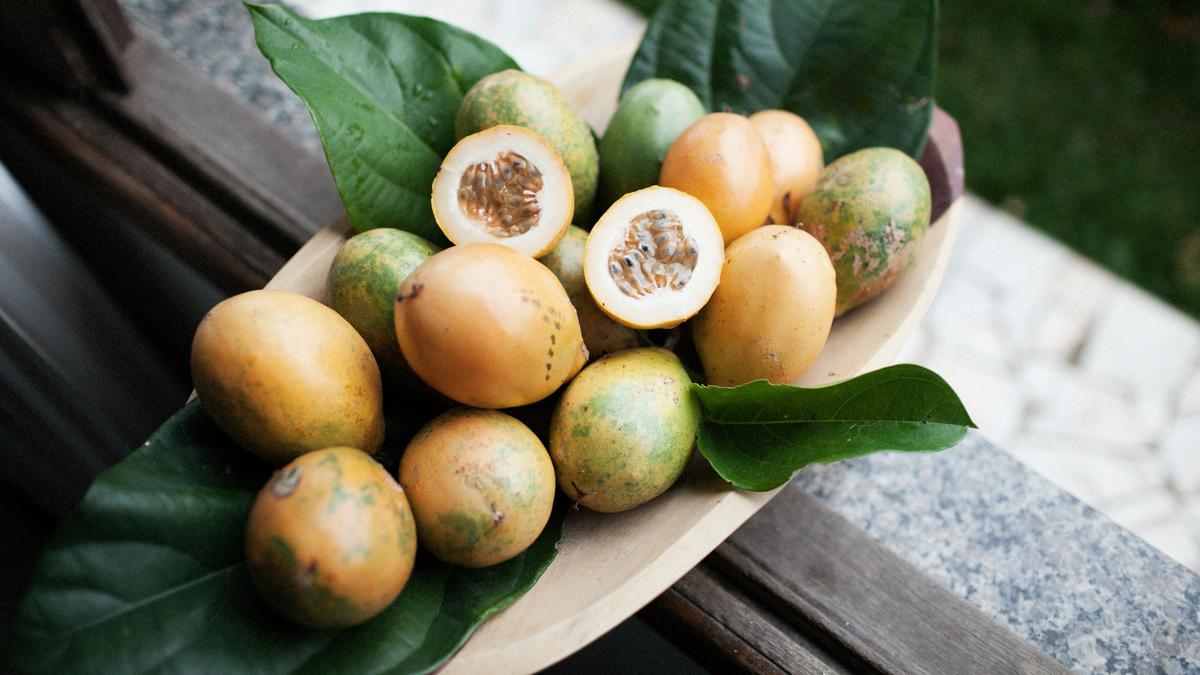 7 Jenis Pohon Buah yang Tidak Ada Ulatnya, Aman Ditanam di Rumah