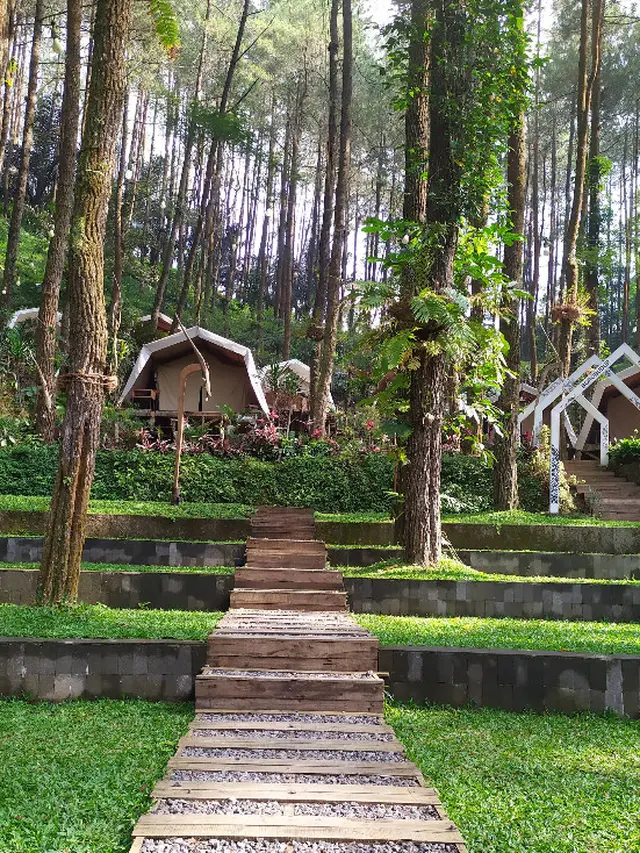 Spot Glamping Temanggung; DeLoano Glamping