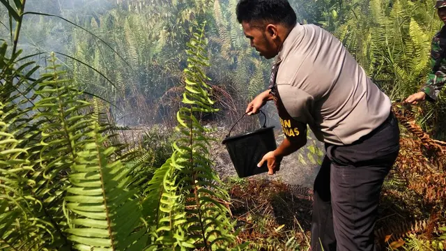Kebakaran Lahan