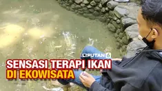 vertical ikan
