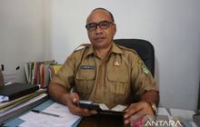 Tahukah Anda? Biosekuriti Kandang Jadi Kunci Cegah ASF pada 31 Ribu Babi di Manggarai Barat