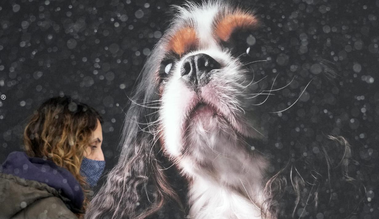 Seorang perempuan mengenakan masker saat berjalan selama badai salju di Beograd, Serbia, Minggu (12/12/2021). Jalan raya menuju bandara ditutup selama beberapa jam karena kemacetan lalu lintas yang disebabkan oleh hujan salju. (AP Photo/Darko Vojinovic)