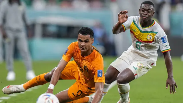 Grup A Piala Dunia 2022: Senegal vs Belanda