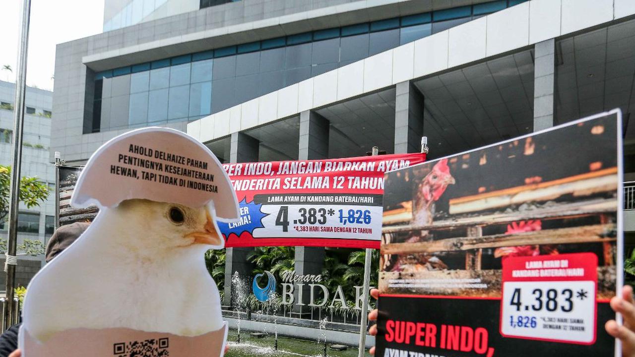 Dikutip dari Animal From Jogja, kandang ayam baterai dinilai sangat kejam karena membiarkan dua sampai empat ayam hidup penuh sesak dalam rangkaian kandang bersekat kawat besi.