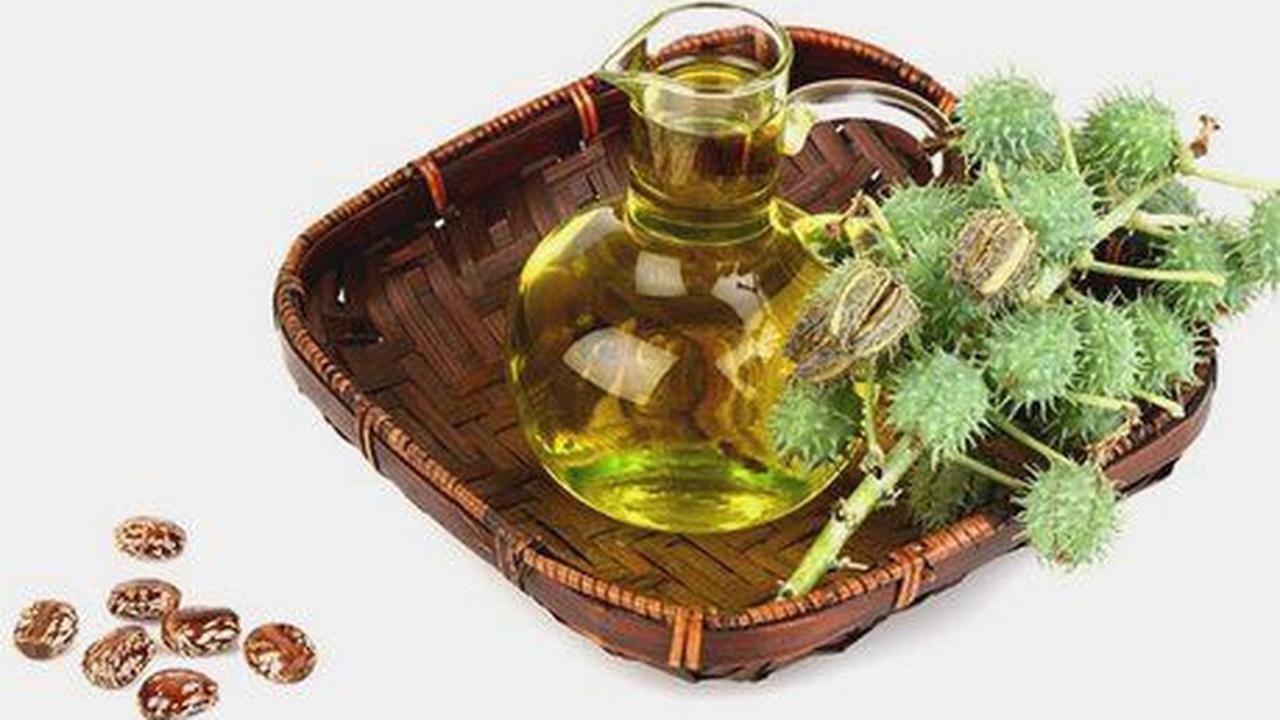 5. Minyak Jarak: Vitamin E dan Asam Lemak Tinggi