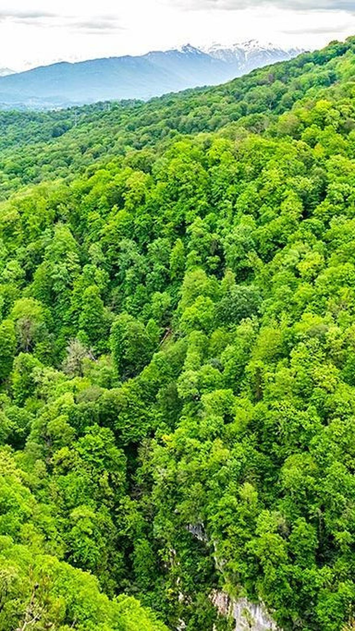 Teknologi penginderaan jarak jauh yang baru digunakan beberapa tahun belakangan oleh arkeolog sangat merevolusi berbagai penemuan, terutama di kawasan yang tertutup oleh hutan rimba yang sulit dijelajahi dengan kaki, seperti di kawasan Amerika Tengah, lat