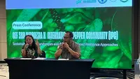 Genjot Daya Saing Lada Indonesia di Pasar Global Lewat Kolaborasi