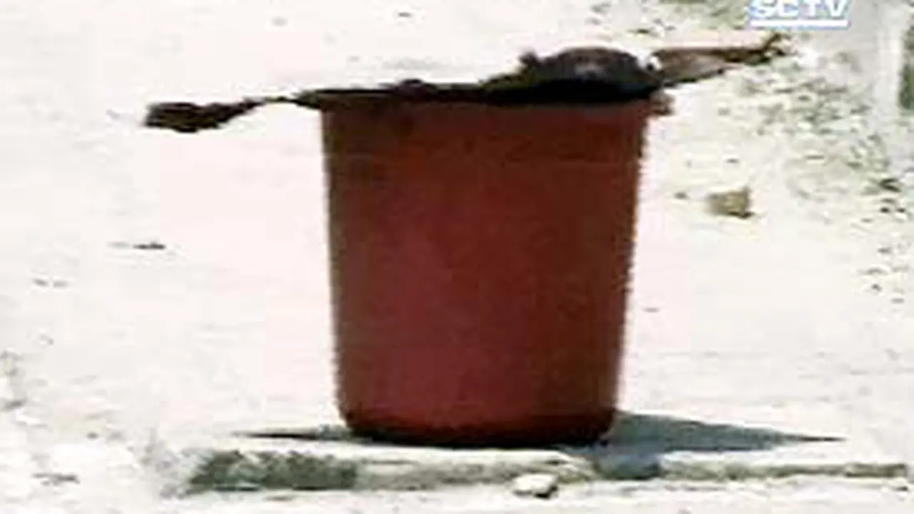 211004aBom.jpg
