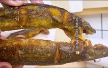 Trik Bikin Lele Goreng yang Lurus dan Gurih Seharian, Tanpa Tepung