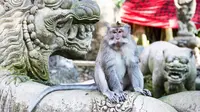 Monkey Forest Ubud (sumber: pesona.travel)