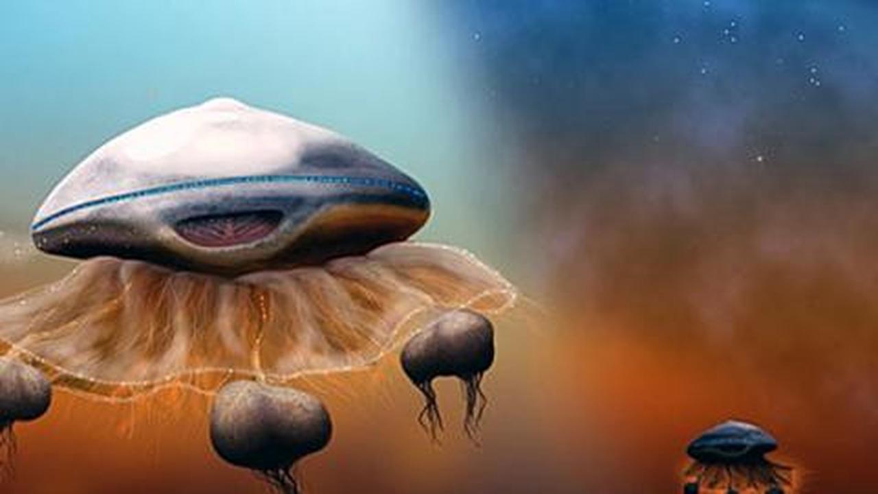 Ilmuwan: Bentuk alien mirip ubur-ubur