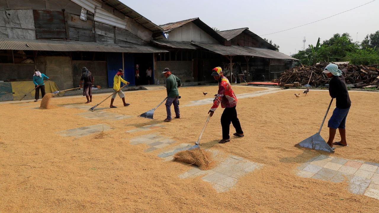 Penggilingan padi di Bekasi manfaatkan program Electrifying Agriculture PLN