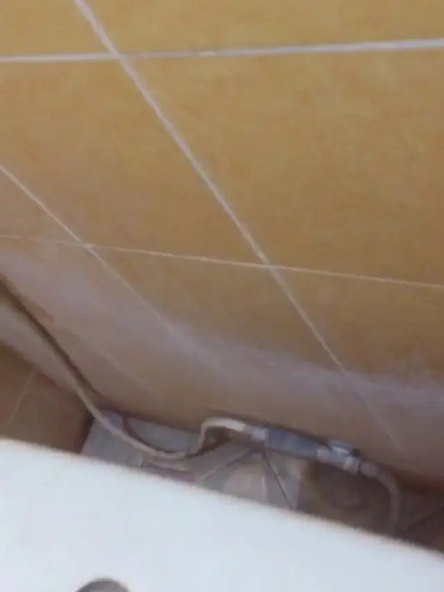 Viral Pintu Rumah Ini Terlihat Biasa Saja, Faktanya Tak Terduga
