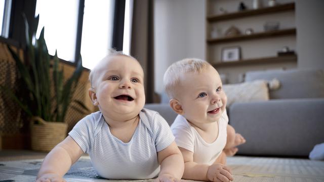 Ilustrasi bayi kembar