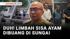 Kita ajak ke Jombang, Jawa Timur, buat melihat sejumlah pria yang membuang limbah sisa ayam potong satu pikap ke Sungai Brantas.
