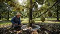 4 Pohon Buah yang Nilai Jual Bibitnya Lebih Mahal Daripada Buahnya, Investasi Menjanjikan