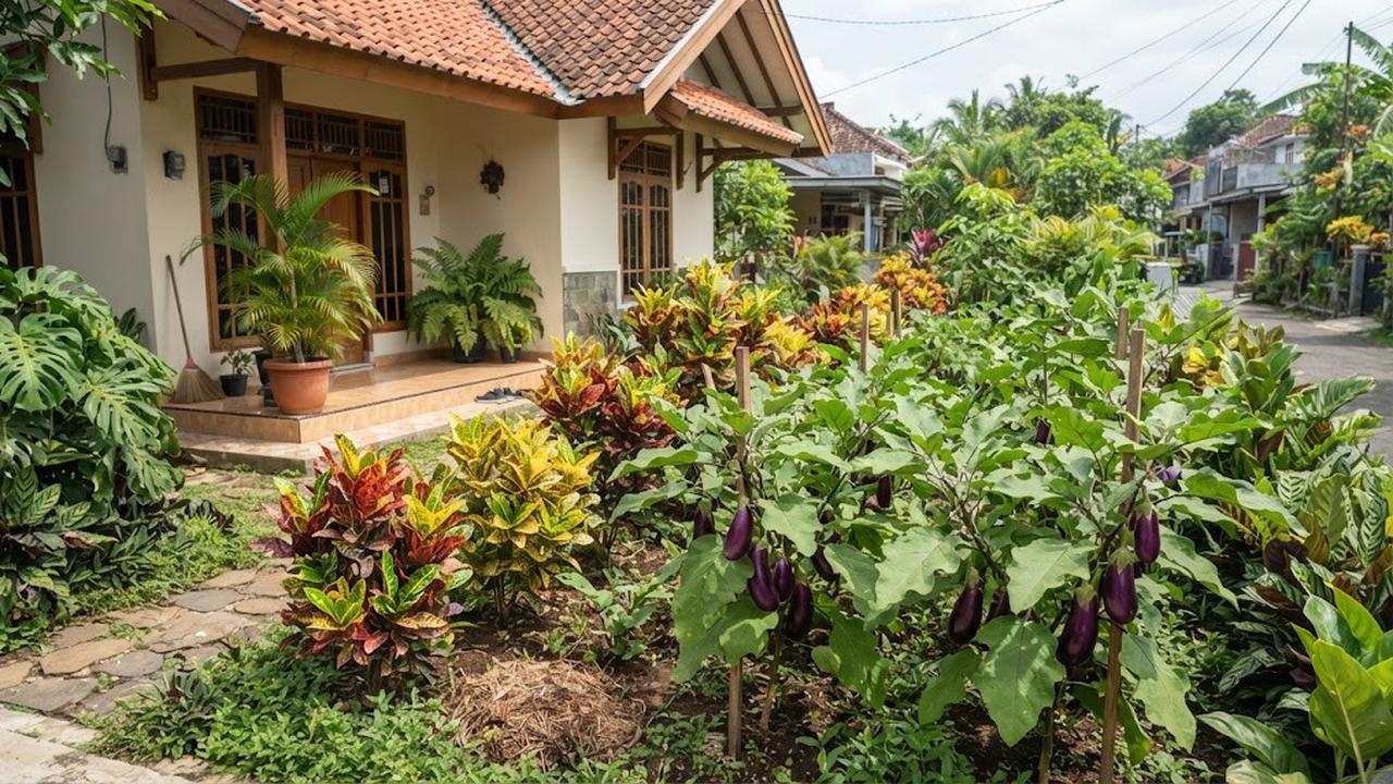 Kombinasi Tanaman Hias dan Tanaman Pangan untuk Halaman Rumah