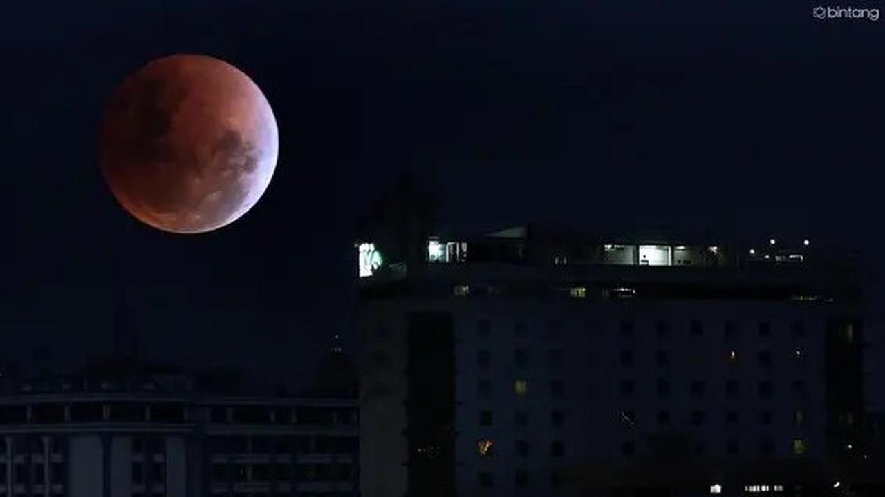 7 Peran Penting Bulan buat Perlindungan Bumi