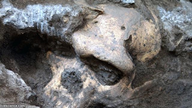 Mengapa Manusia Purba Membuat Peralatan Dari Bebatuan