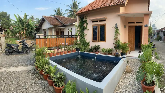 Cara Membuat Kolam Ikan Mini di Samping Rumah Type 45 untuk Budidaya Lele yang Cepat Panen