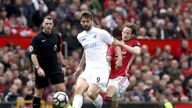 Daley Blind