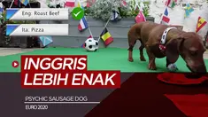 Berita video prediksi final Euro 2020 antara Inggris Vs Italia oleh Psychic Sausage Dog