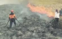 Sederet Kasus Kebakaran di Gunung Akibat Kelakuan Manusia