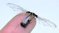 Canggih, Robot Lebah Ini Bisa Berubah jadi `Kapal Selam`