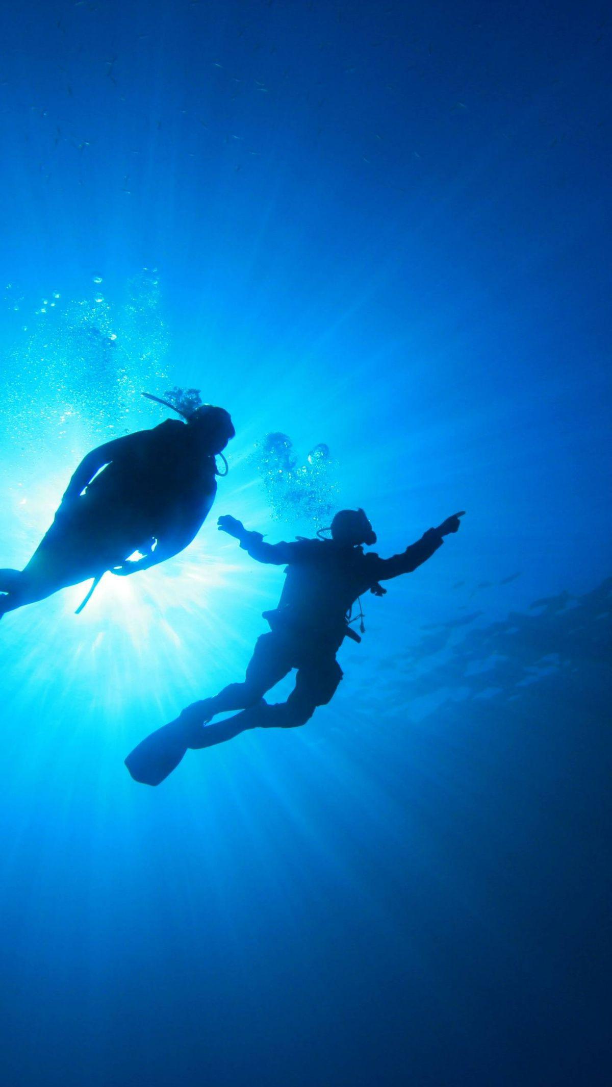 "Itu tempat yang sangat istimewa," kata Cherisse Du Preez, ahli biota laut dalam Kanada dan kepala ekspedisi kepada Live Science melalui surel.