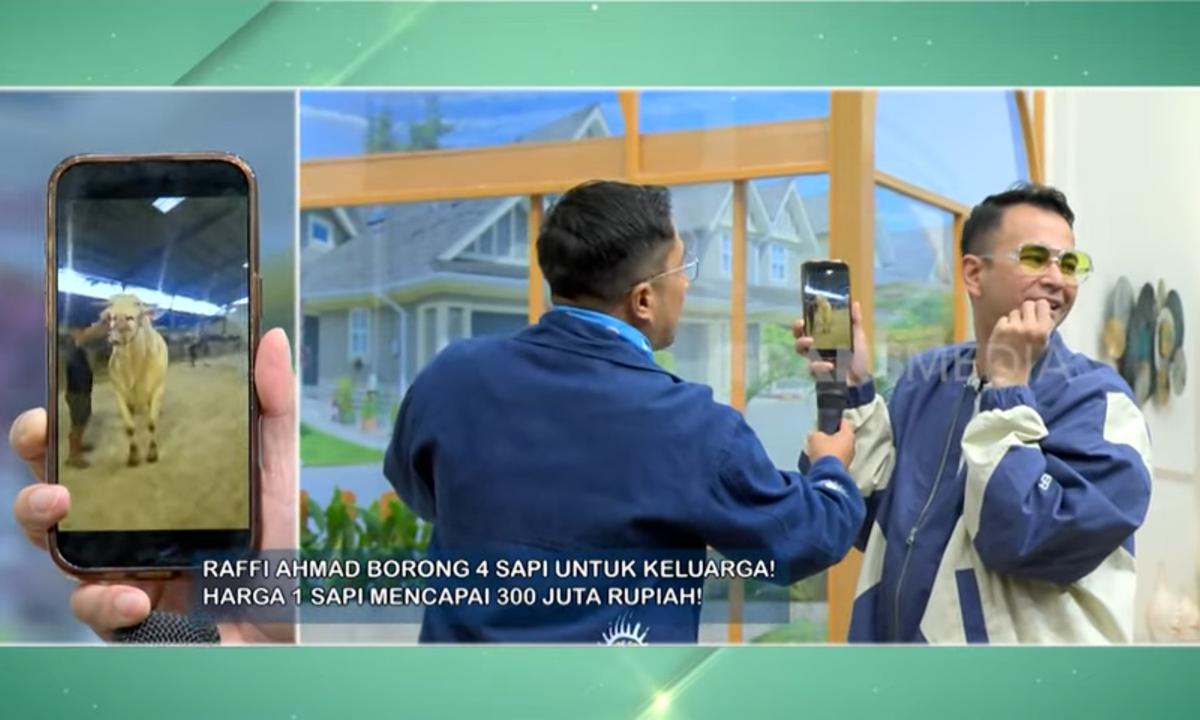 Penampakan Sapi Kurban Nagita Slavina Setinggi Dua Meter, Beda Banget sama Punya Baby Lily yang Kecil Mungil