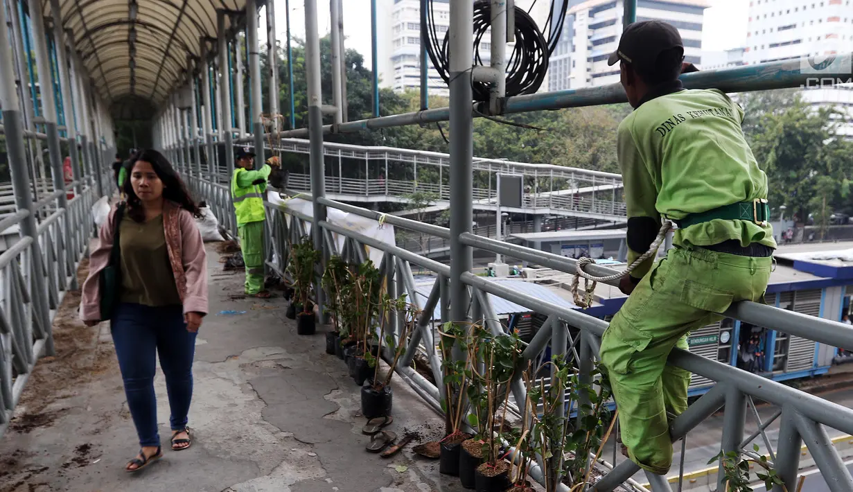 Dinas Kehutanan Provinsi DKI Jakarta menata tanaman yang dipasang di Jembatan Penyeberangan Orang (JPO) Benhil, Jakarta, Sabtu (24/8/2019). Penataan tersebut sebagai bentuk penghijauan dan mempercantik tata Kota Jakarta. (Liputan6.com/JohanTallo)