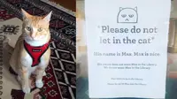 Karena suka main ke perpustakaan, kucing ini diberi tanda bahwa dia dilarang masuk. Berkat tanda tersebut kucing ini menjadi terkenal.