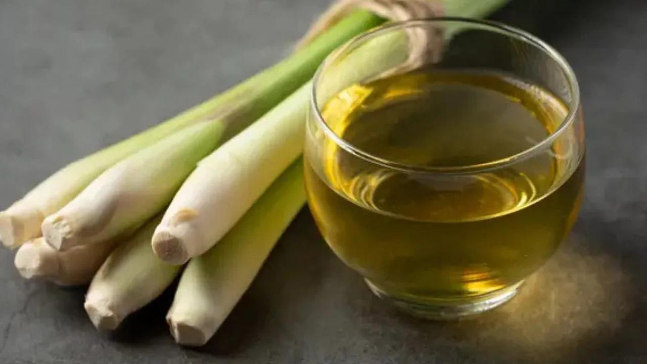 10 Manfaat Serai untuk Pencernaan, Begini Cara Konsumsi Optimal & Kandungan Nutrisi