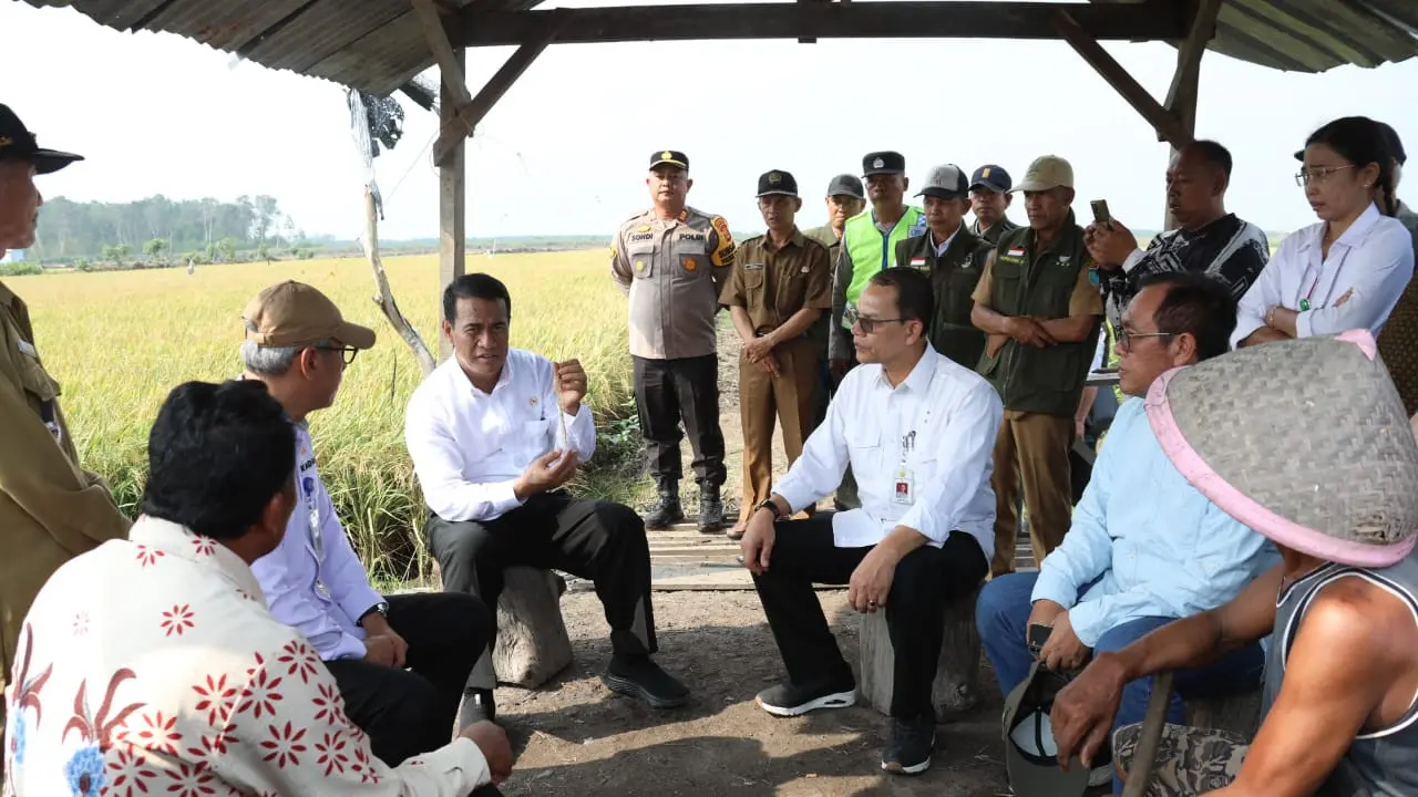 Optimalkan Lahan Rawa, Mentan Gandeng Para Pemuda dan Penyuluh Pertanian