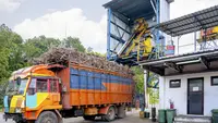 Danantara Desak Transformasi Total Industri Gula Usai Sugar Co Tekor Rp 680 Miliar