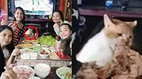 6 Momen Kucing Tertangkap Basah saat Mencuri Ini Kocak Banget