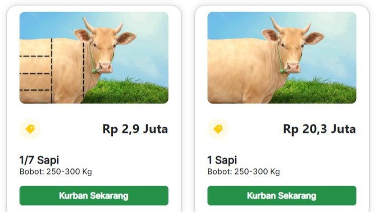 Perlu diketahui, harga tersebut dapat berbeda setiap daerah dan tidak bisa menjadi patokan pasti. Mengingat berat hewan kurban yang dipilih akan mempengaruhi harga jualnya.
