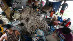 Pekerja menyelesaikan pembuatan kembang api di dalam sebuah gubuk di provinsi Bulacan, utara Manila, Rabu (27/12). Seperti banyak negara di Asia, warga Filipina juga akan merayakan malam pergantian tahun dengan kembang api tradisional. (AP/Bullit Marquez)