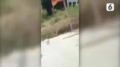 Aksi pencurian pakaian dalam wanita kali ini terjadi di Desa Bawalipu, Luwu Timur. Seorang pria tertangkap kamera secara diam-diam, sedang mencuri sambil menciumi pakaian dalam.