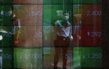Begini Kata Chief Economist BRI Danareksa Dampak Psikolog Investor Soal Ramai MSCI