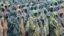 TNI Prima menggambarkan visi Panglima TNI Jenderal Agus Subiyanto agar institusi pertahanan ini senantiasa profesional, responsif, integratif, modern, dan adaptif. (merdeka.com/Arie Basuki)