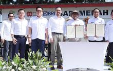 BRI Beri Modal Hingga Investasi bagi PT Moosa Genetics untuk Kembangkan Program Sapi Merah Putih