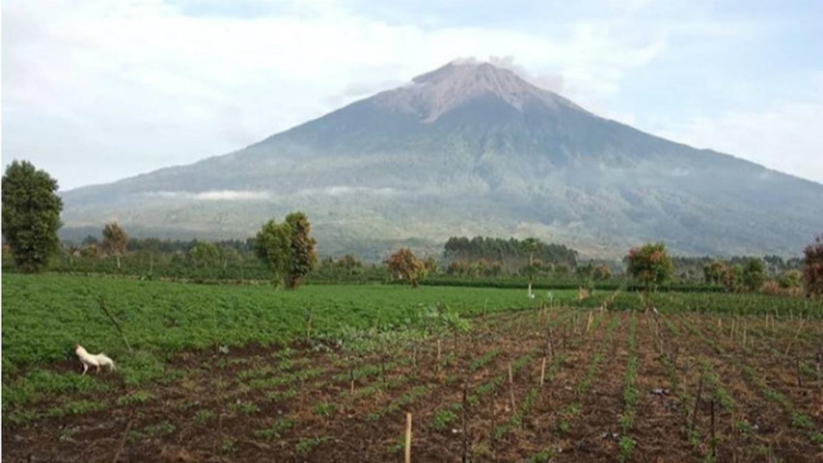 10 Gunung Tertinggi di Indonesia, Destinasi Populer Pendaki dari Seluruh Penjuru Negeri