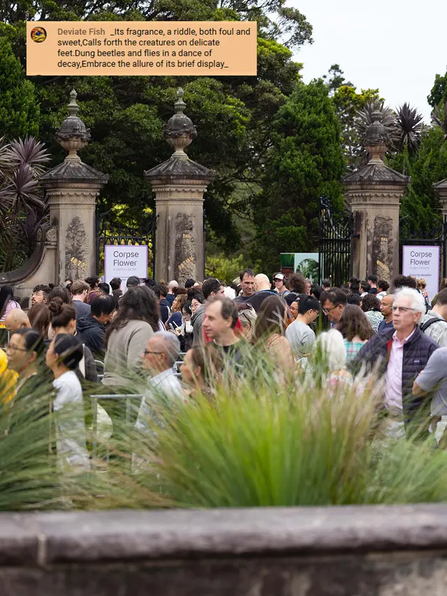 Warga Australia Rela Antre Demi Cium Aroma Bunga Bangkai yang Langka (Foto: Instagram @botanicsydney)