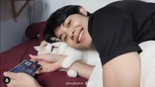 kucing