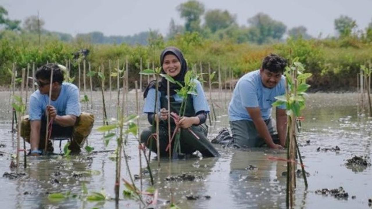 PT Freeport Indonesia Tanam 50 Ribu Mangrove di Gresik, Dukung Pelestarian Ekosistem Pesisir